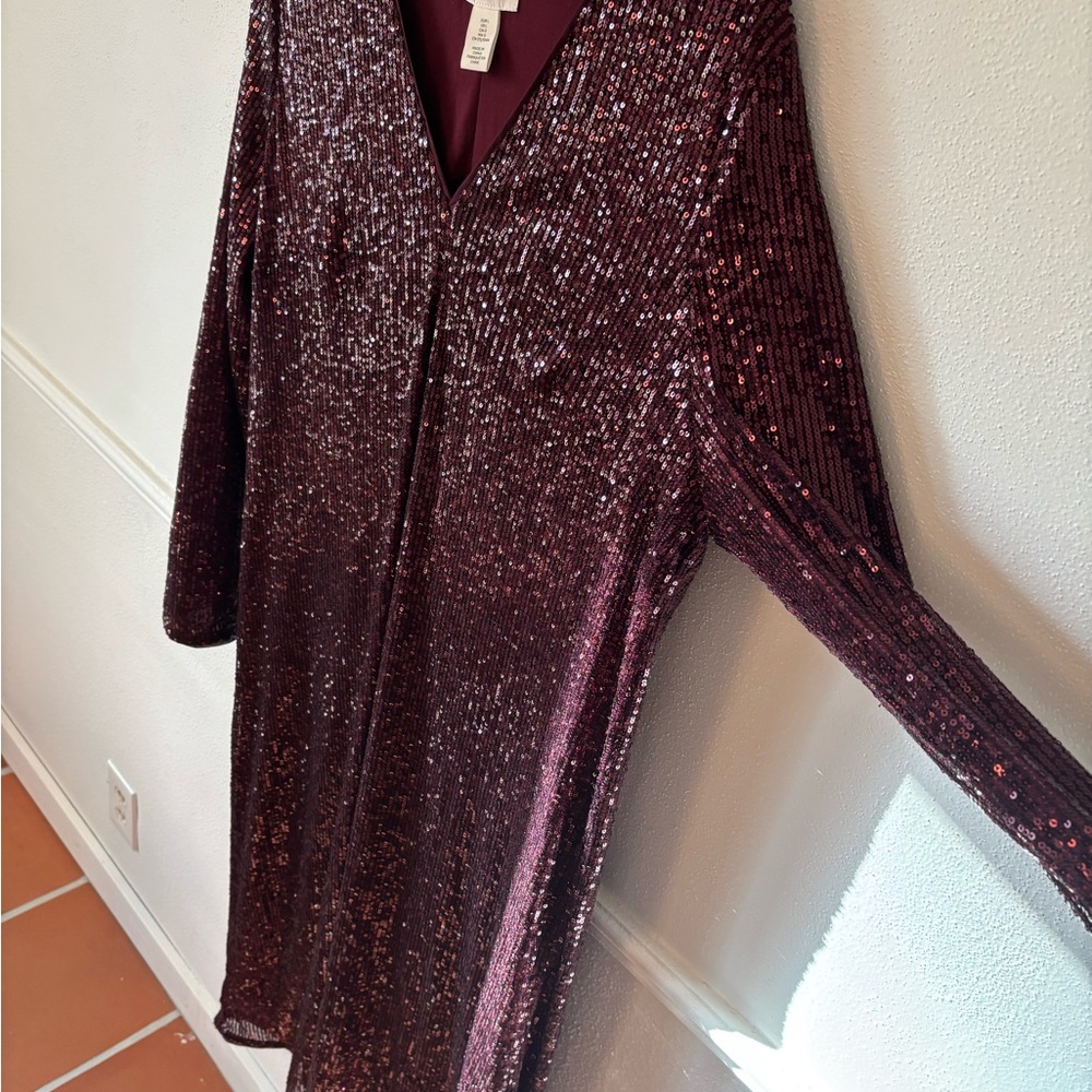 H&M Dark Red Sequin Dress